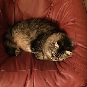 Meet your Posher, Kristine